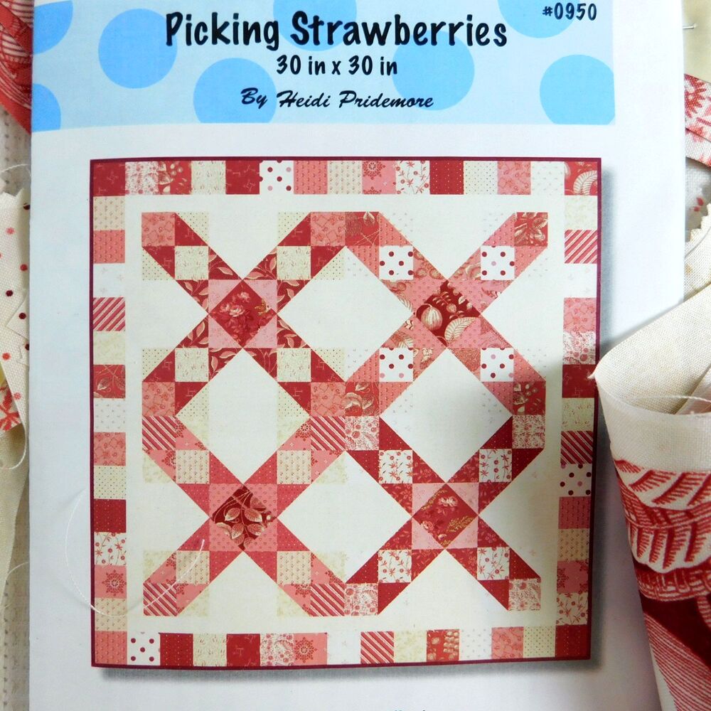 Whimsical Workshop Quilt Kit, Picking Strawberries 30" Square Pre-Cut 2023